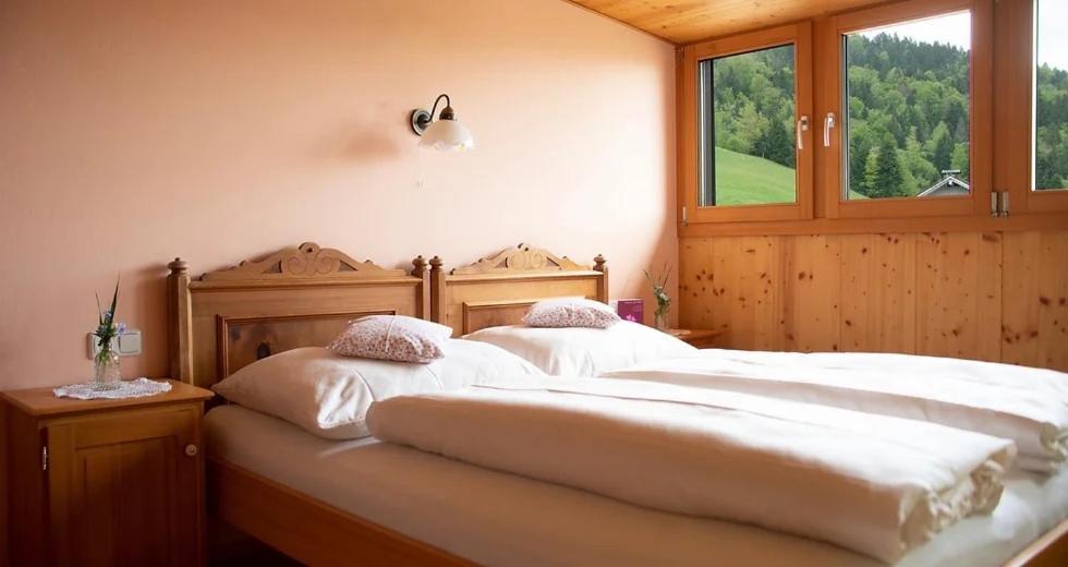Bio Ferienbauernhof Greber Βίλα Schwarzenberg im Bregenzerwald Εξωτερικό φωτογραφία