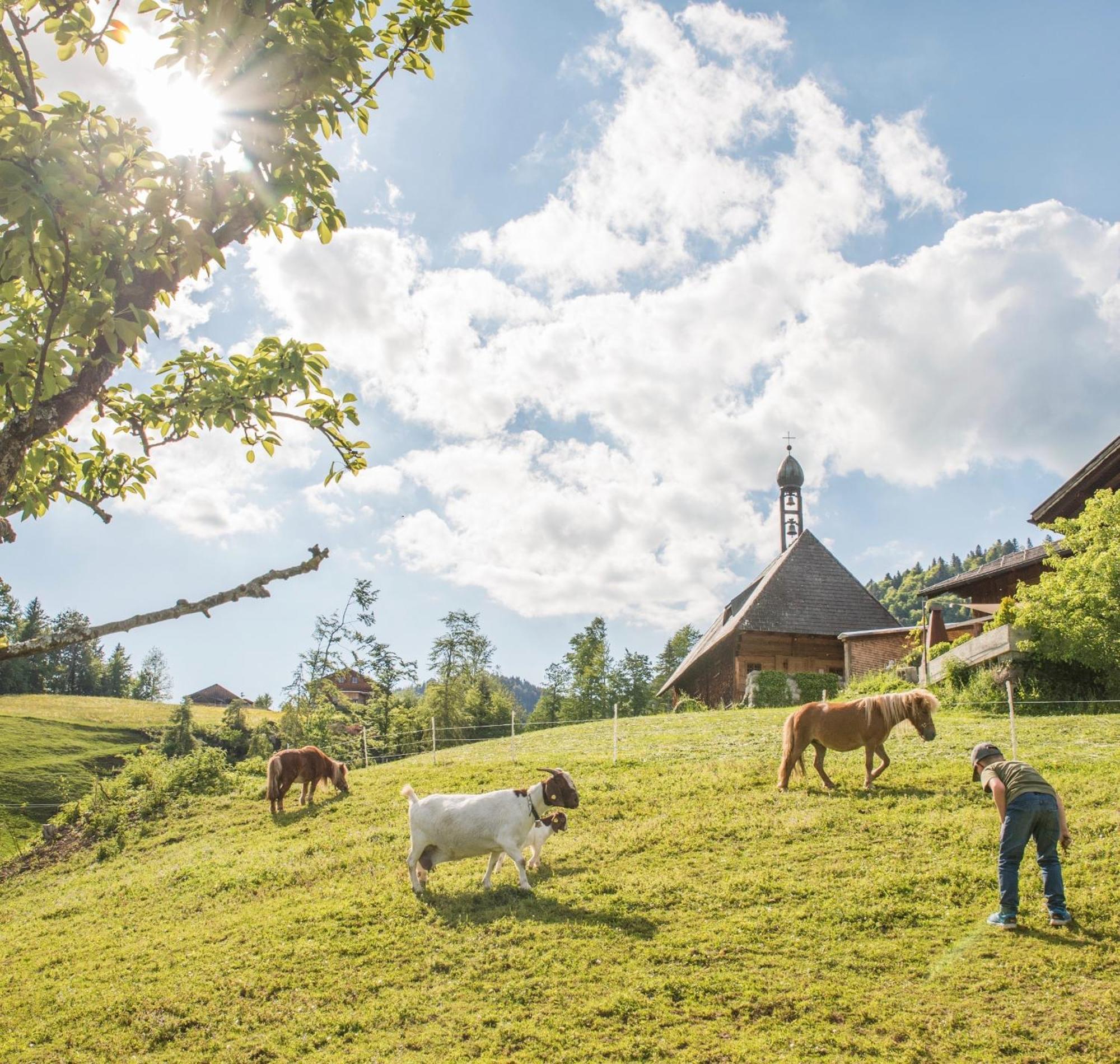 Bio Ferienbauernhof Greber Βίλα Schwarzenberg im Bregenzerwald Εξωτερικό φωτογραφία